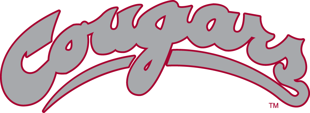 Washington State Cougars 1995-2010 Wordmark Logo v2 diy fabric transfer